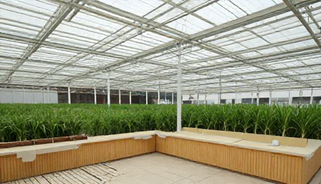 如何选择合适的种植技术指导应用场景？